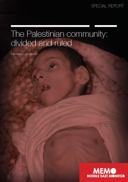 20140113_ThePalestinianCommunity-DividedAndRuled.jpg