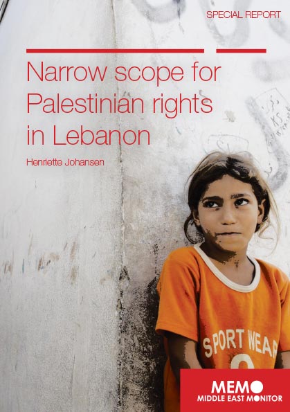 20140315_NarrowScopeForPalestinianRightsInLebanon.jpg